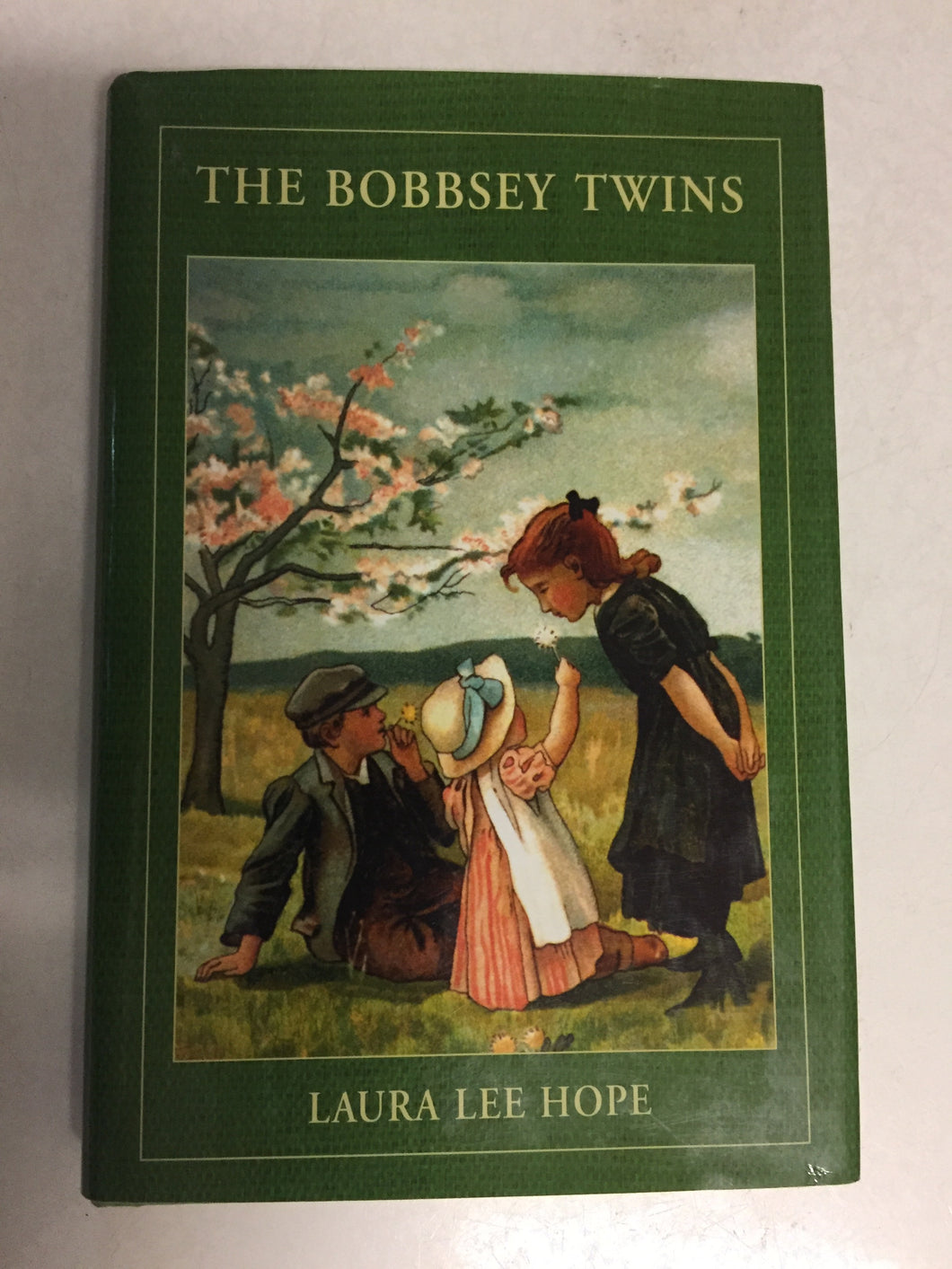 The Bobbsey Twins or Merry Days Indoors and Out - Slickcatbooks