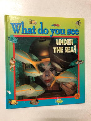What Do You See Under the Sea - Slick Cat Books 