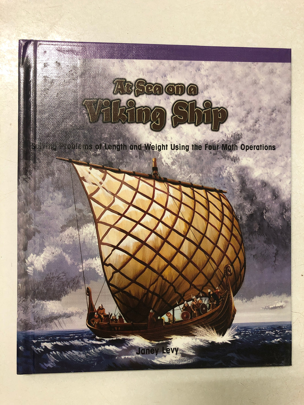 At Sea on a Viking Ship - Slick Cat Books 