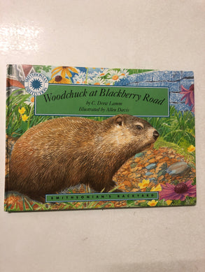 Woodchuck at Blackberry Road - Slick Cat Books 