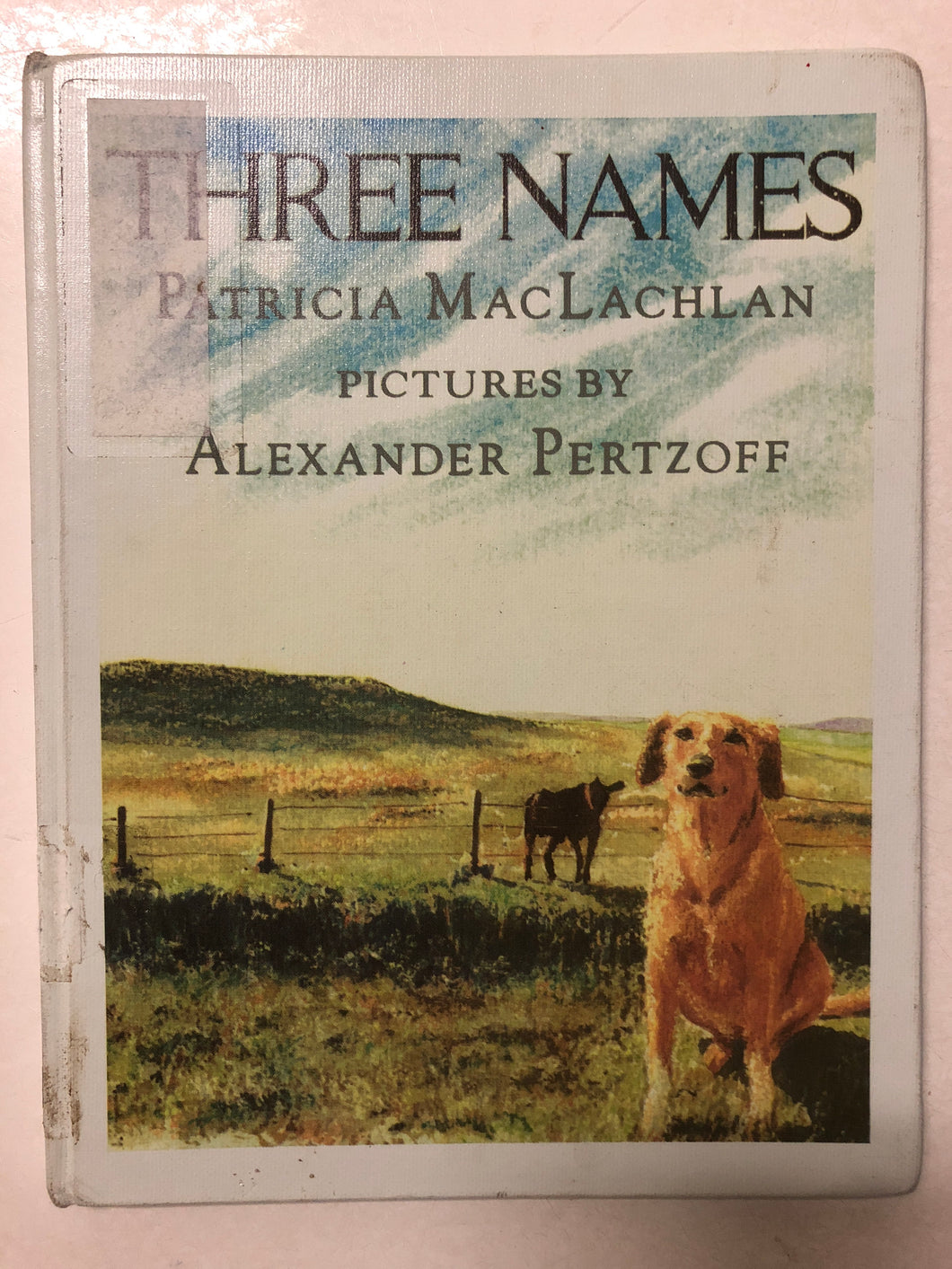 Three Names - Slick Cat Books 