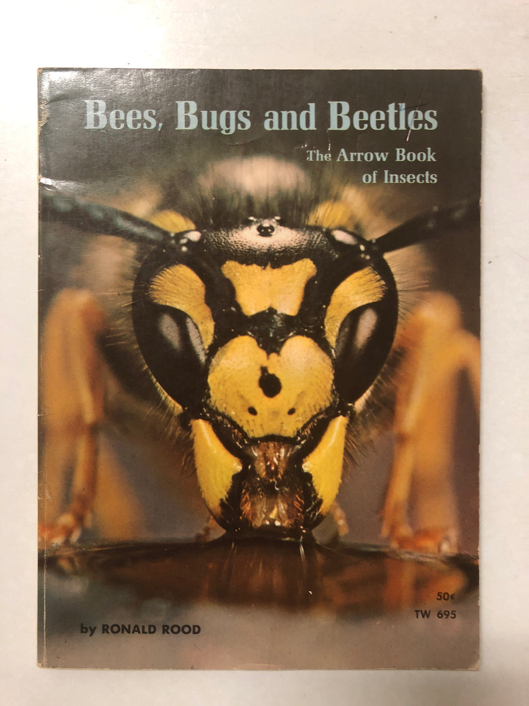 Bees, Bugs and Beetles - Slick Cat Books 
