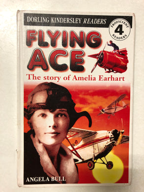 Flying Ace The Story of Amelia Earhart - Slick Cat Books 