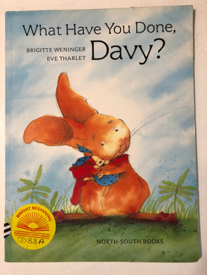What Have You Done, Davy? - Slick Cat Books 