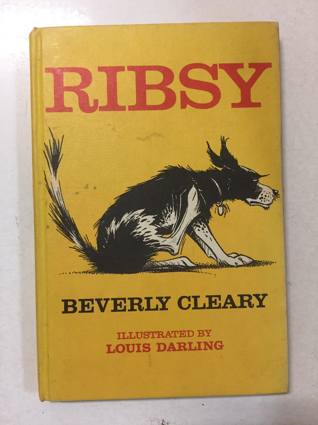 Ribsy - Slickcatbooks
