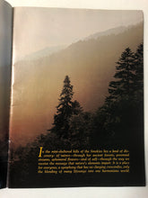 Great Smoky Mountains The Story Behind the Scenery - Slickcatbooks