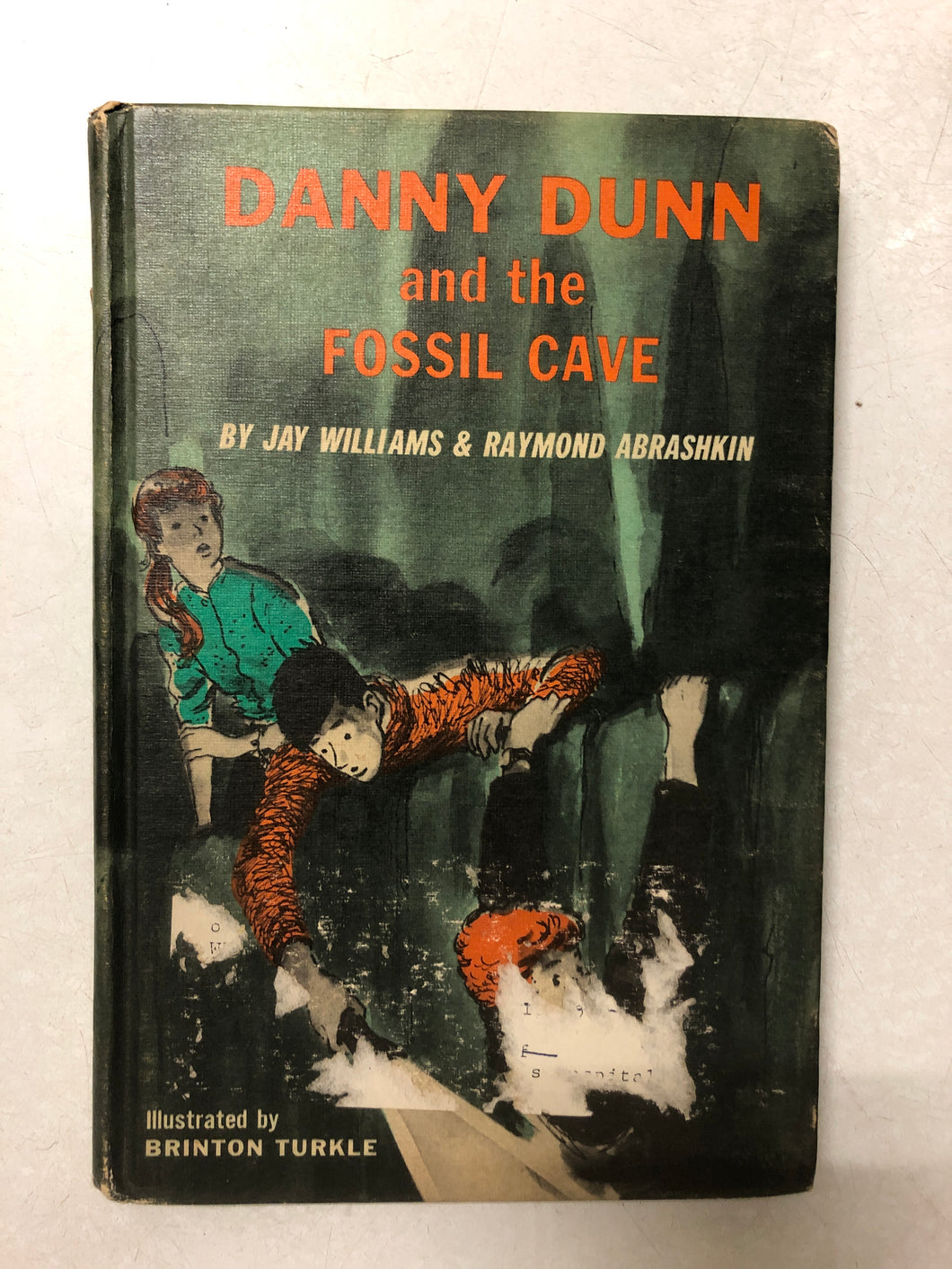 Danny Dunn and the Fossil Cave - Slick Cat Books 