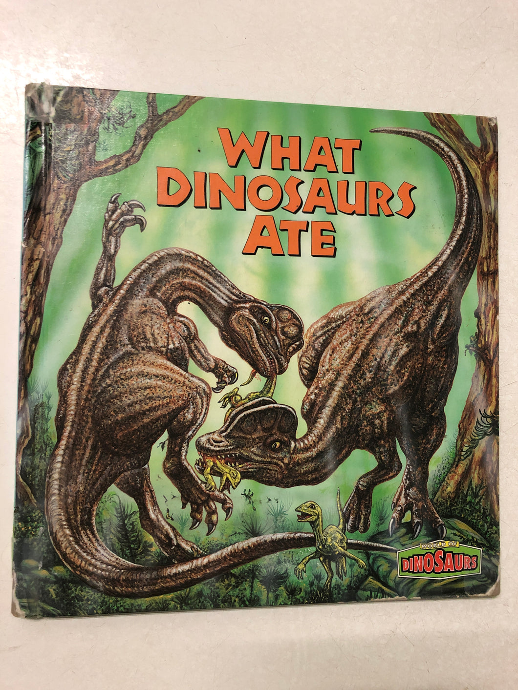 What Dinosaurs Ate - Slick Cat Books 