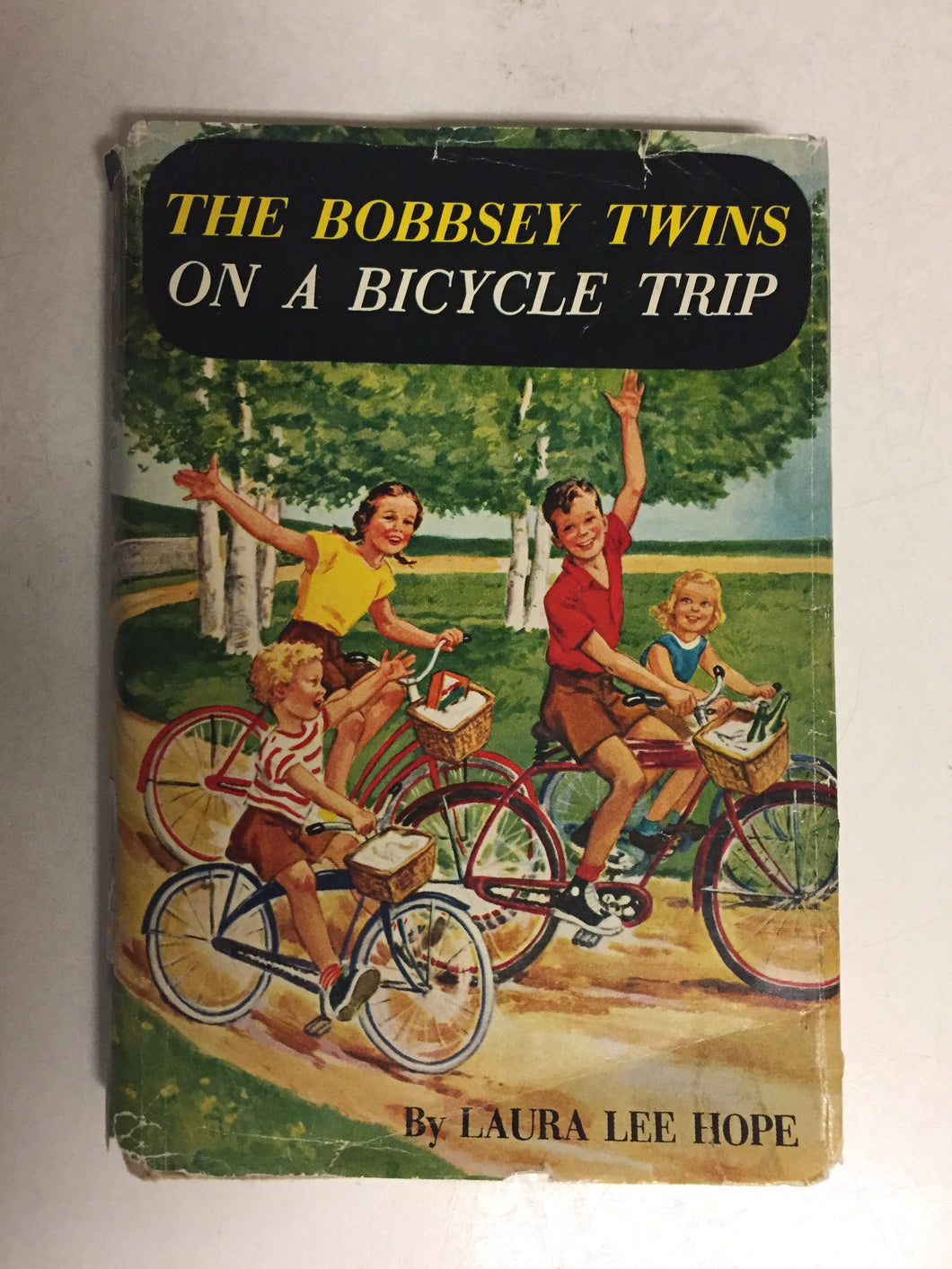 The Bobbsey Twins on a Bicycle Trip - Slickcatbooks