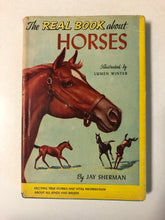 The Real Book About Horses - Slick Cat Books 