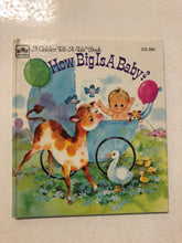 How Big Is A Baby - Slick Cat Books