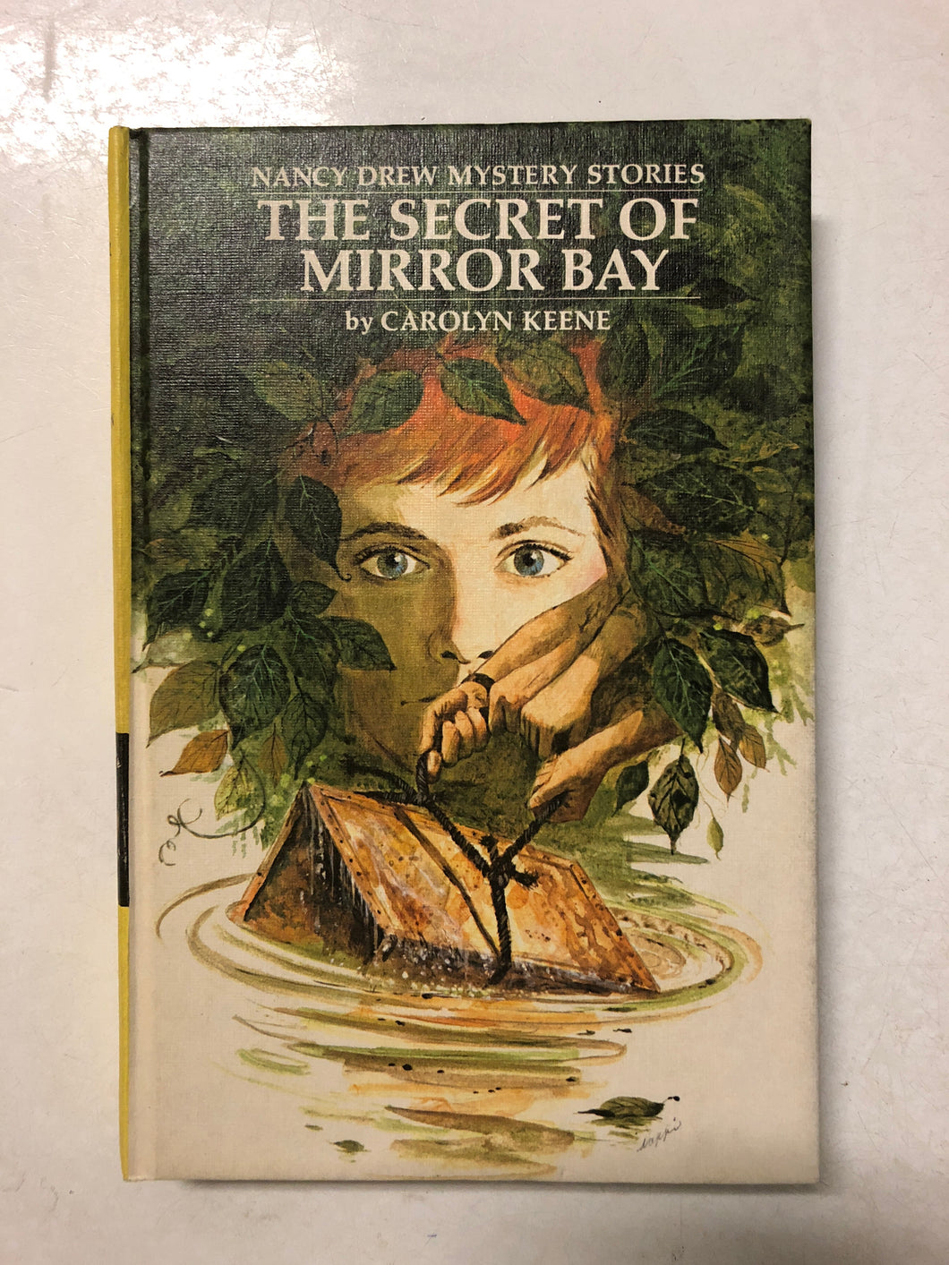 The Secret of Mirror Bay - Slick Cat Books 