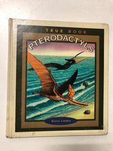 Pterodactyls - Slick Cat Books 