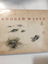 Andrew Wyeth Boston Museum - Slick Cat Books