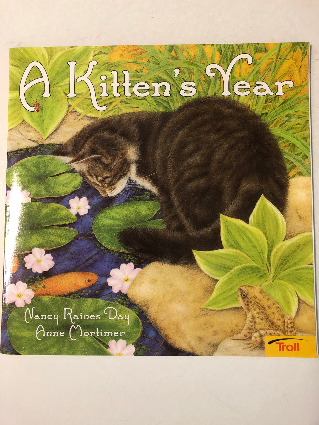 A Kitten’s Year - Slickcatbooks