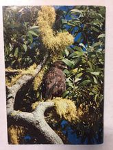 Hawaii's Birds - Slickcatbooks