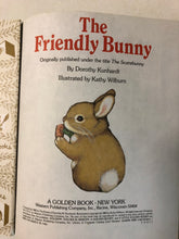 The Friendly Bunny - Slickcatbooks