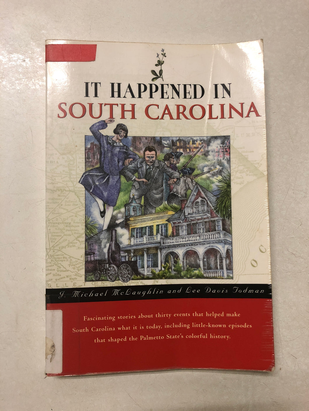 It Happened in South Carolina - Slick Cat Books 