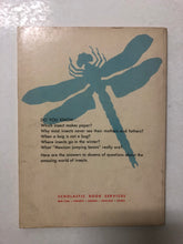 Bees, Bugs and Beetles (The Arrow Book of Insects) - Slickcatbooks