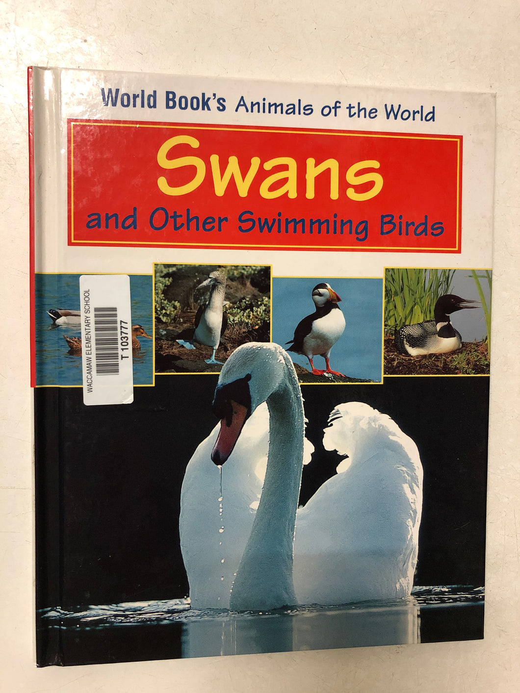 Swans and Other Swimming Birds - Slick Cat Books 