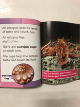 Octopuses and Other Animals With Amazing Senses