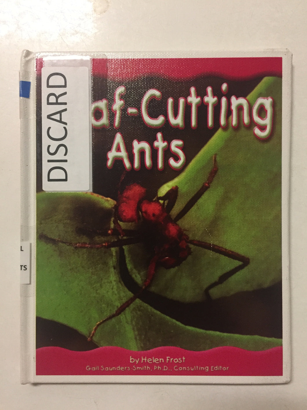 Leaf-Cutting Ants - Slick Cat Books 