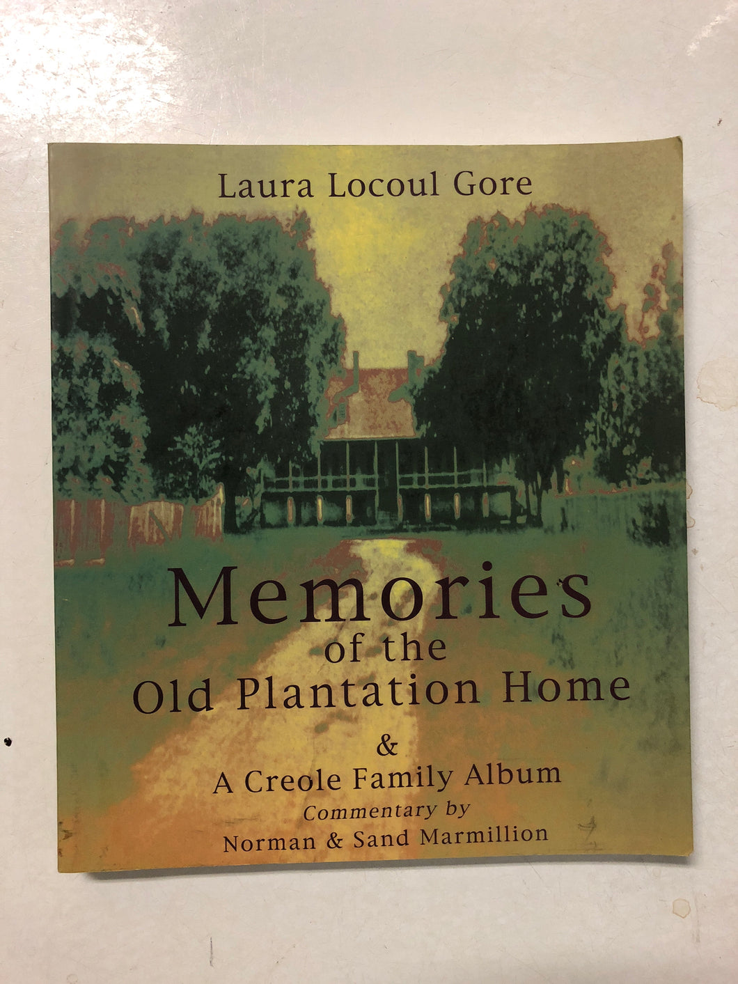 Memories of the Old Plantation Home - Slick Cat Books 