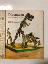 Dinosaurs - Slickcatbooks