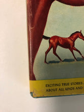 The Real Book About Horses - Slickcatbooks