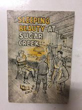 Sleeping Beauty at Sugar Creek - Slickcatbooks